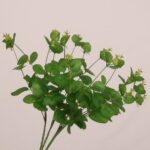 Angled view of faux eucalyptus bush with layered green leaves for wedding decor and event floral styling