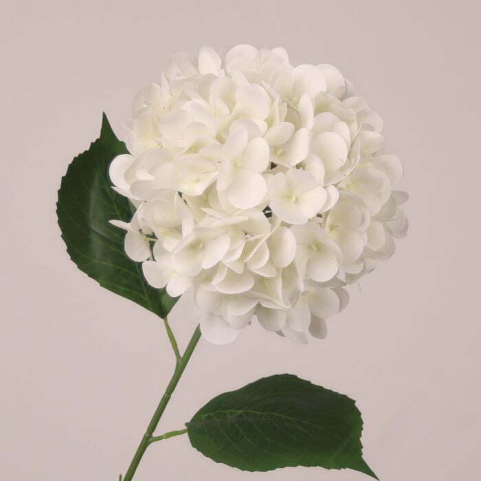 White faux hydrangea stem with full layered petals and natural leaves, ideal for wedding decor and elegant event styling