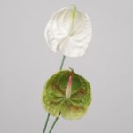 White faux anthurium stem with glossy heart-shaped spathe for wedding decor and modern event floral arrangement styling