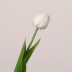 Single white faux tulip stem with smooth petals and lush green leaves for wedding decor or event arrangements