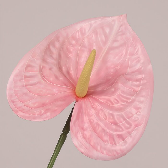 Pink faux anthurium stem with soft veined spathe and realistic spadix, ideal for wedding decor and event floral arrangements