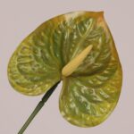 Green faux anthurium stem with glossy textured spathe and natural spadix, suitable for modern event decor and floral arrangements