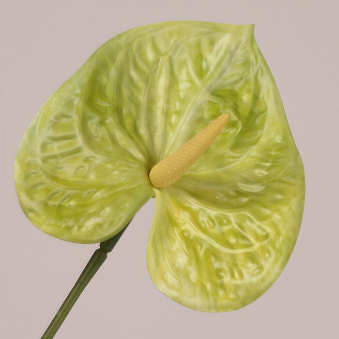 Faux Anthurium Yellow Green Stem for Event Decor Yellow green faux anthurium stem with translucent textured spathe and natural spadix for event decor and floral styling