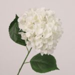 White faux hydrangea stem with full layered petals and natural leaves, ideal for wedding decor and elegant event styling