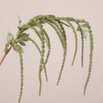 Close-up of green faux hanging amaranthus tassels with realistic texture, ideal for wedding decor, event floral arrangements, and installations