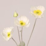 White faux poppy stem with sheer silk petals and realistic center for wedding decor and event floral styling.