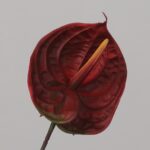 Red faux anthurium stem with textured glossy surface for wedding decor and bold event floral arrangement displays