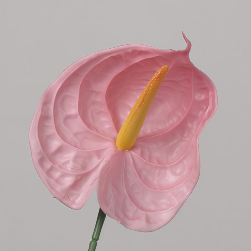 Pink faux anthurium stem with glossy heart-shaped bloom for wedding decor and elegant event floral arrangement styling