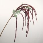Foam hanging amaranthus XC1100 in green