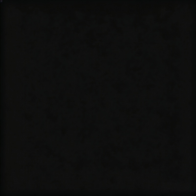Black color swatch