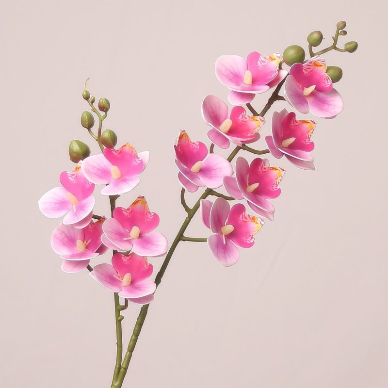 Realistic Rosy Pink Artificial Phalaenopsis Orchid with gradient petals and green flower buds.