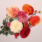 Artificial multi-color dahlia flower bouquet with mixed blooms for home and wedding decoration