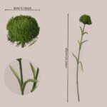 Green faux pom pom allium stem size detail with textured bloom, curved leaves, and long stem for event floral planning