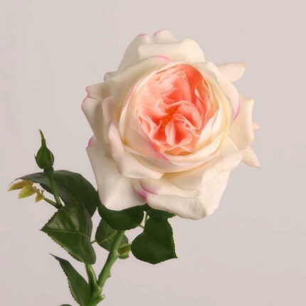 Cream and peach faux rose with detailed layered petals and natural green leaves ideal for wedding decor and event arrangements