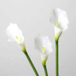 White faux calla lily stems arranged in a trio with elegant curved blooms for wedding decor and event floral arrangement