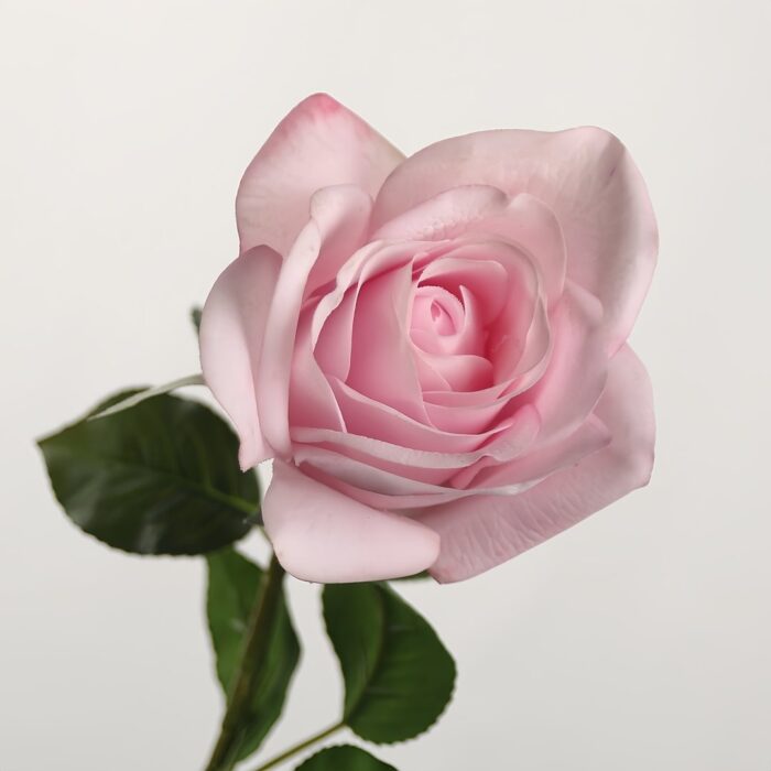 Real Touch Rose Stem GZYX6007 artificial flower - view 9
