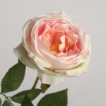 Peach pink faux garden rose stem with layered petals and natural leaves for wedding decor and event floral arrangement