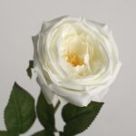 Ivory white faux garden rose stem with realistic petals and green leaves for wedding decor and event floral arrangement