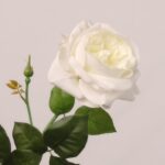 Cream white faux garden rose with soft layered petals and realistic green foliage for wedding and event floral arrangements