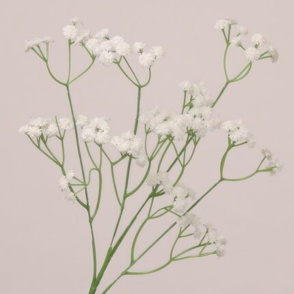 White faux baby's breath spray with fine clustered flowers and flexible green stems for wedding decor and event use