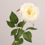 Ivory white faux garden rose stem with realistic petals and green leaves for wedding decor and event floral arrangement