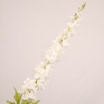 White faux delphinium stem with elegant layered petals and realistic foliage for wedding decor and event floral arrangements