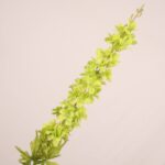 Lime green faux delphinium stem with fresh layered petals and realistic foliage for wedding decor and event floral arrangement