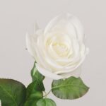 Ivory white artificial rose stem for wedding centerpiece decoration