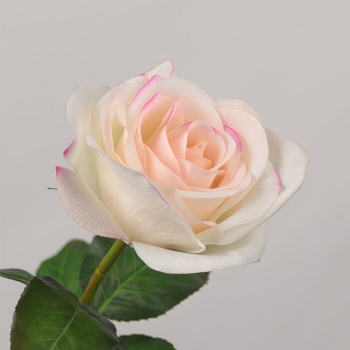 Champagne gradient artificial rose stem for wedding decoration