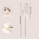 White faux phalaenopsis orchid stem with size reference, suitable for wedding decor, hotel displays, and professional event floral design