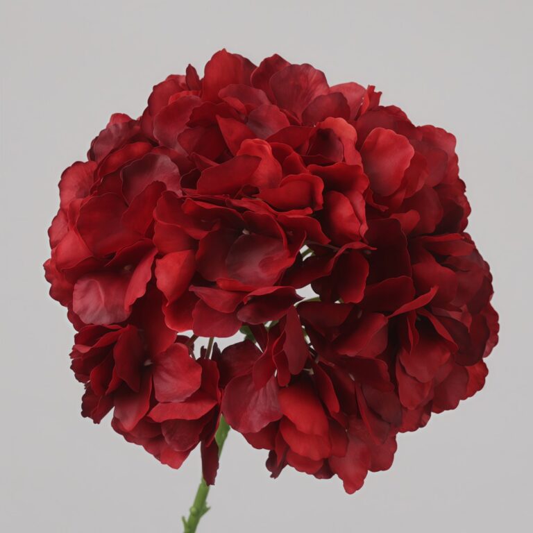 Burgundy faux hydrangea stem with deep layered petals for wedding decor and sophisticated event floral arrangement styling