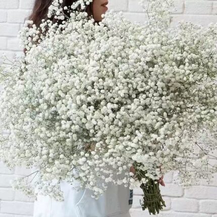 White faux baby's breath spray with clustered tiny blooms for wedding decor and soft event floral arrangement styling