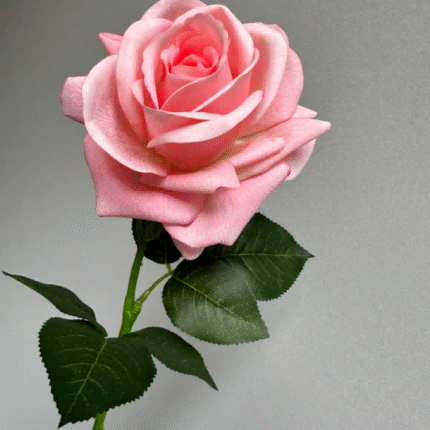 Real Touch Garden Rose - HZ6005 artificial flower - view 5