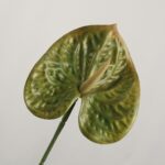 Green faux anthurium stem with glossy textured spathe and natural spadix, suitable for modern event decor and floral arrangements