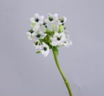 Elegant White Artificial Trachelium Flower Stem