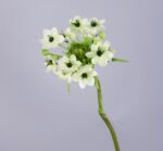 Elegant Green Artificial Trachelium Flower Stem