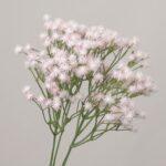 Realistic artificial blush pink gypsophila (baby's breath) bush with multiple detailed star-shaped flower heads on a green stem, against a plain background for NB8 floral shop product page.