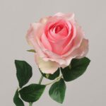 Lifelike blush pink faux rose single stem with detailed petals and green leaves, NB8 artificial flowers.