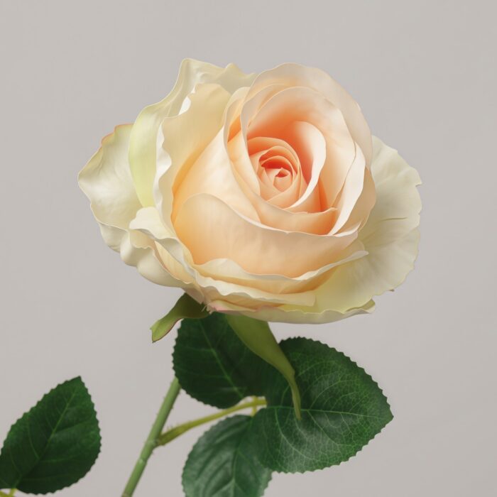 Lifelike Artificial Rose Elegant champagne peach artificial rose flower stem for wedding and home decor by NB8