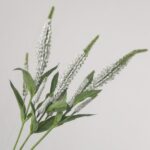 A bundle of multiple artificial white veronica flower stems arranged together to show a full and lush centerpiece look.