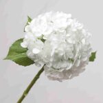 Premium White Real Touch Faux Hydrangea Wholesale
