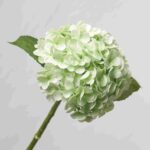 Pale Green Real Touch Artificial Hydrangea Flower