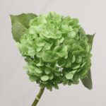 Vibrant Green Real Touch Faux Hydrangea Single Stem
