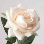 NB8 brand champagne cream colored artificial rose with moisturizing texture petals and green leaves.
