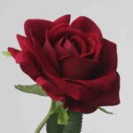 Stunning dark red/burgundy faux rose by NB8, featuring a lush velvet-like appearance and lifelike stem.