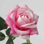 NB8 artificial rose with soft pink edges and white center, moisturizing texture real-touch silk flower.