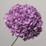 A single stem of vibrant purple artificial hydrangea from NB8Floral featuring dense, layered silk petals.