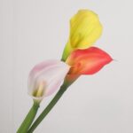 A group of three artificial calla lily flower stems in pastel pink, bright orange-red, and vibrant yellow gathered together against a light gray background.