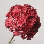 NB8 luxury burgundy red artificial hydrangea bloom with thick, textured petals for romantic event decor.