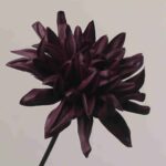 Dark plum purple artificial dahlia flower head on a stem for home decor.